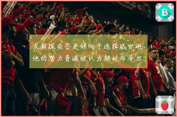 灰熊探花签更倾向于选择威尔逊，他的潜力普遍被认为超过布泽尔